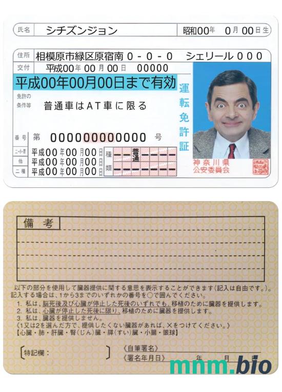 Japan driving license version 2